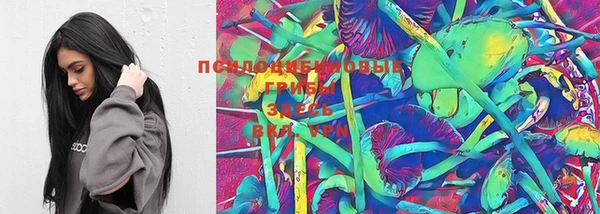 mdpv Верея