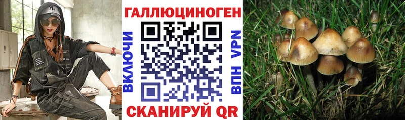 Псилоцибиновые грибы мицелий  ОМГ ОМГ онион  Лянтор 